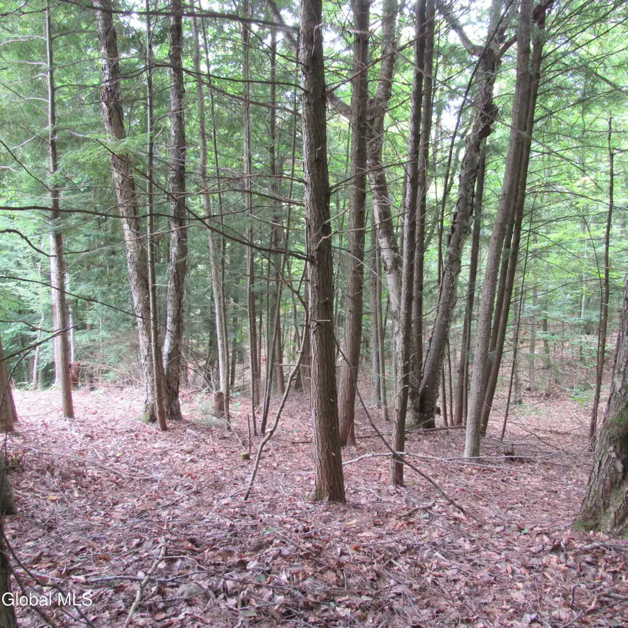 L2 Palmer Priv Lane, Edinburg, NY 12134 - Image #2