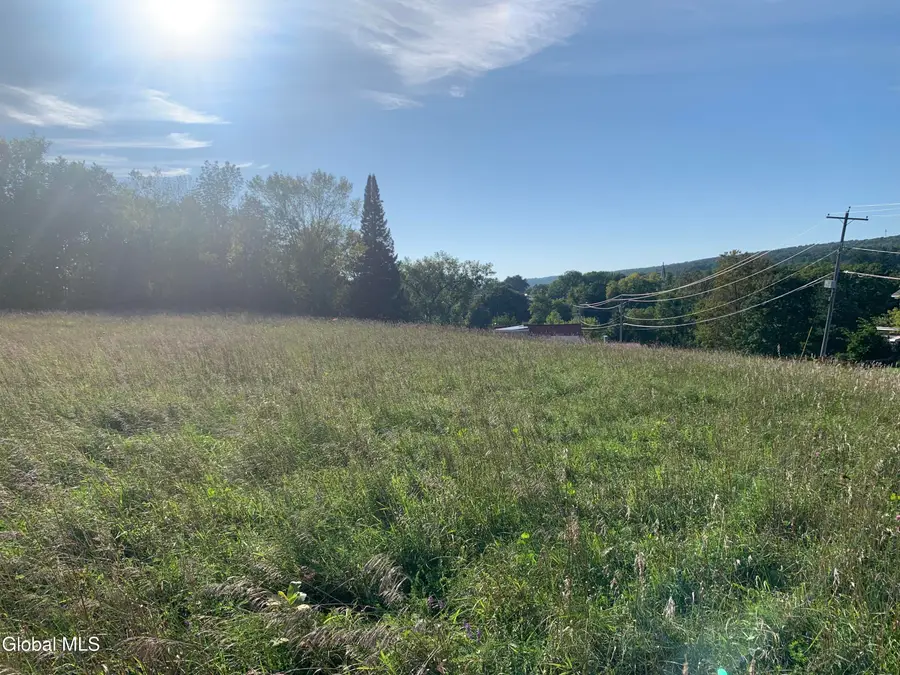 L34.111 Western Turnpike, Duanesburg Town, NY 12066 - Image #3