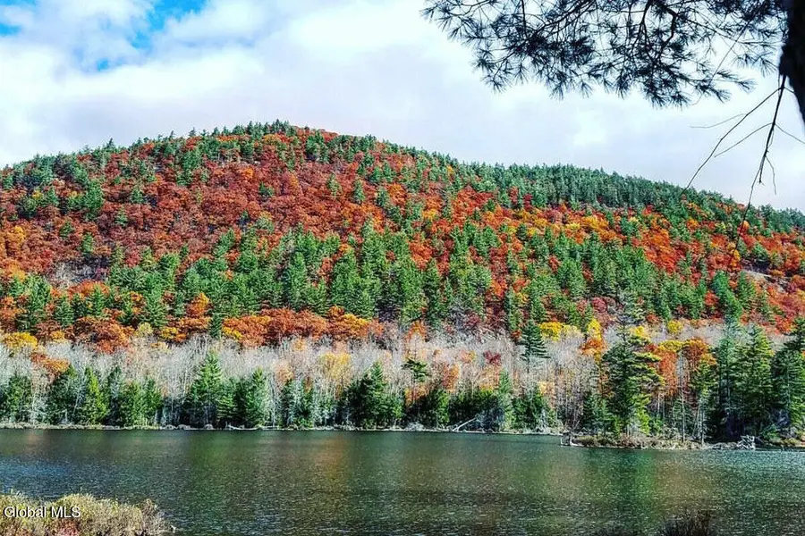 128 Mountain Path, Johnsburg, NY 12853 - #3