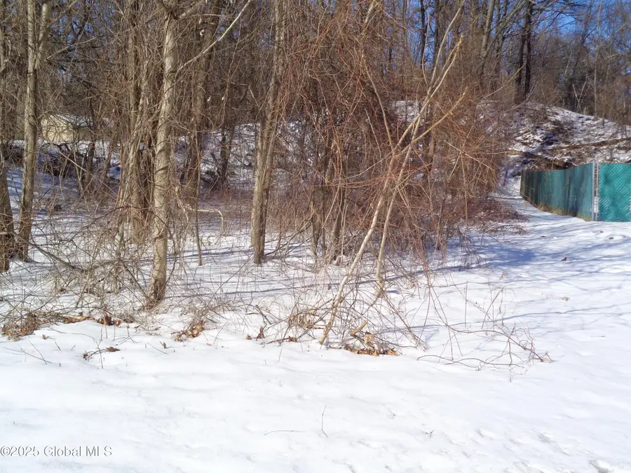 L412 Ward Avenue, Schenectady, NY 12304 - Image #3