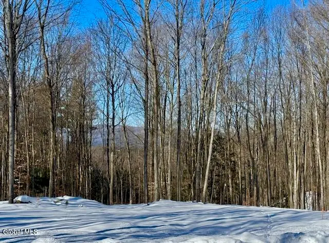 36 Lincoln Mountain Road, Greenfield, NY 12833 - #3