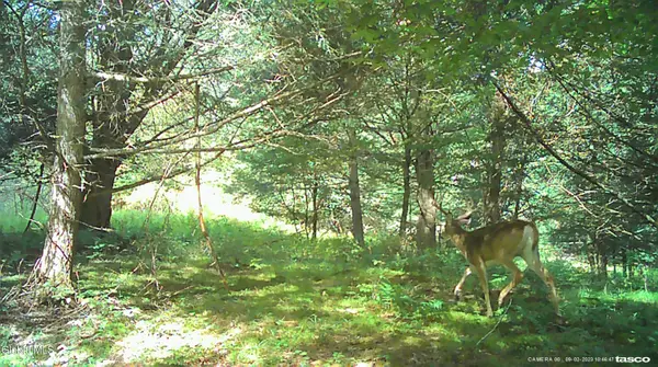 L5.12 N Harpersfield Road, Jefferson, NY 12093