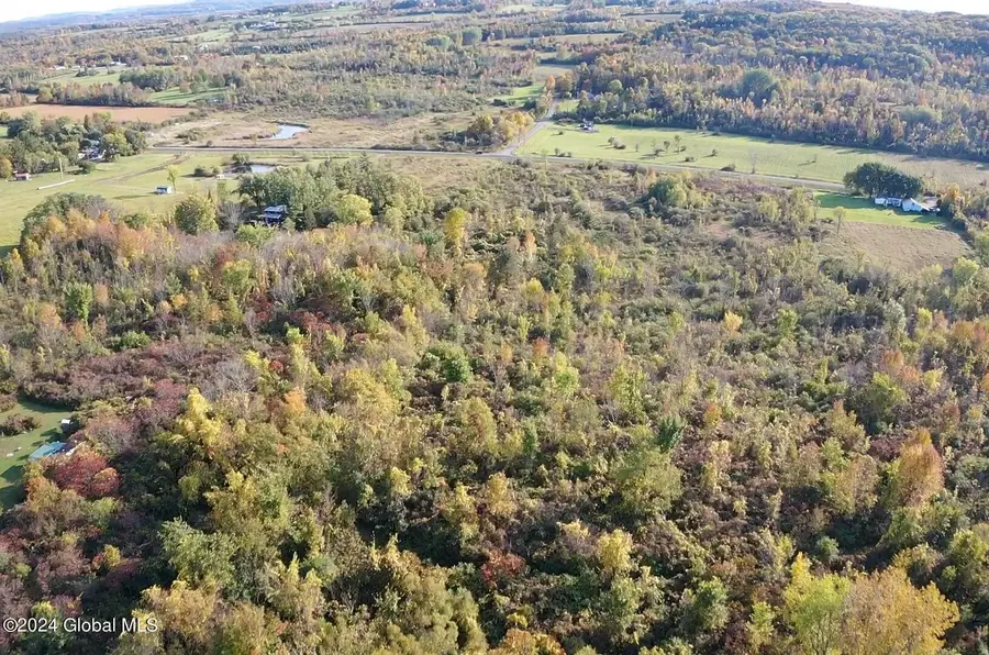 L4 Mapletown Road, Root, NY 12166 - #3