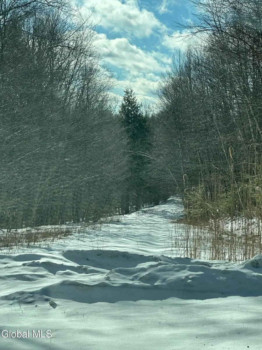 22 Beech Way, Stephentown, NY 12168 - Image #2