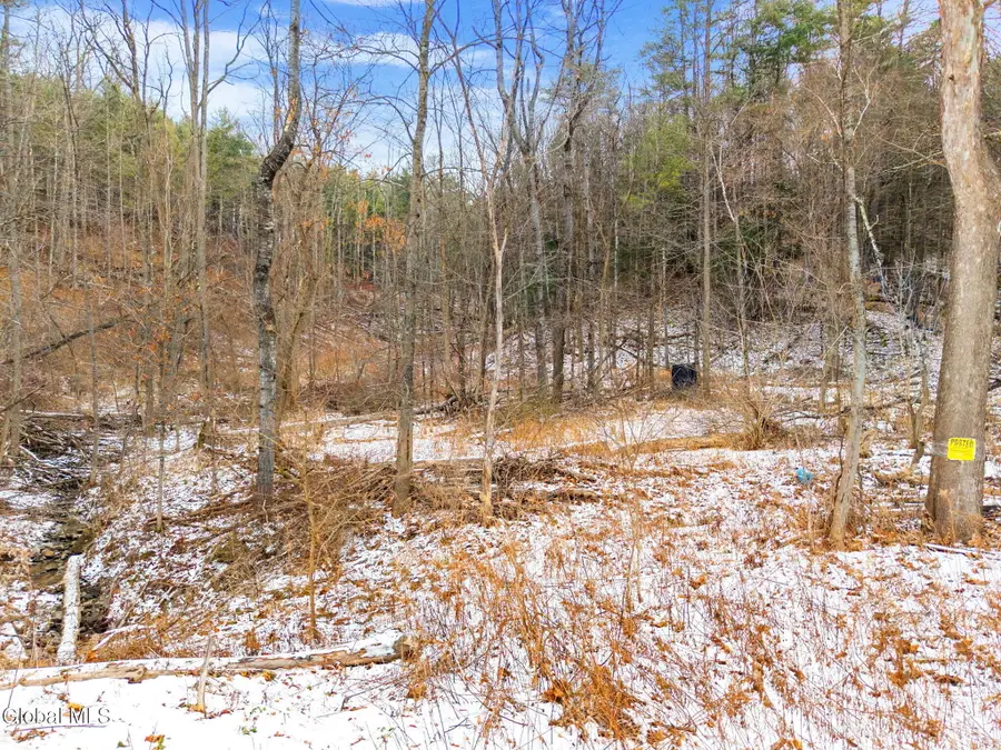 L4 Flat Creek Road, Gilboa, NY 12076 - #3