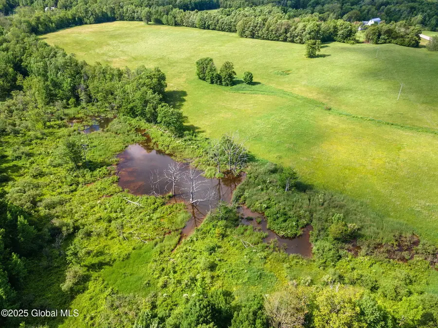 L4 Havrish Road, Jefferson Town, NY 12167 - #2