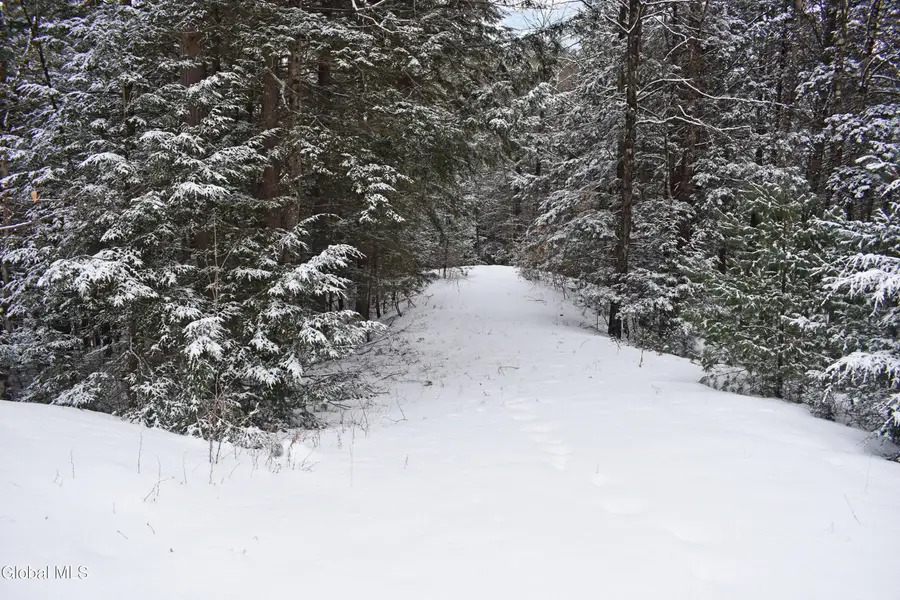 13 Carriage Knolls Road, Chester, NY 12817 - #2