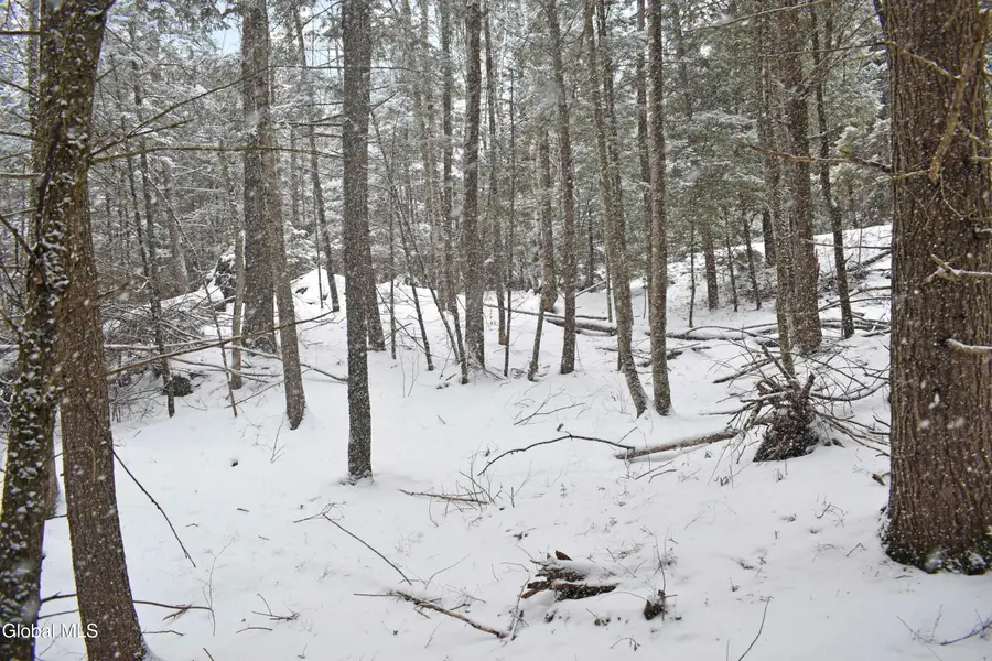 13 Carriage Knolls Road, Chester, NY 12817 - #3