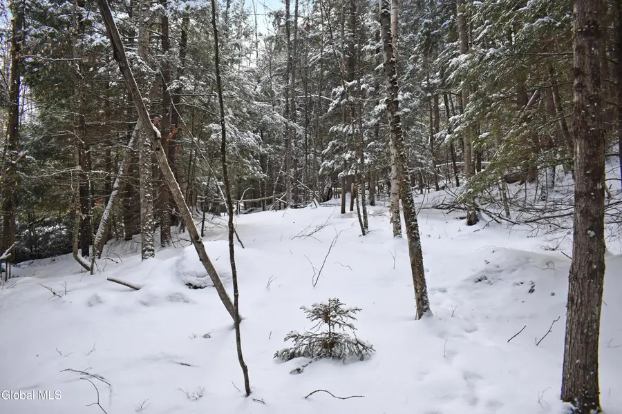 20 Carriage Knolls Road, Chester, NY 12817 - #3