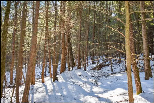 22 Carriage Knolls Road, Chester, NY 12817 - #2