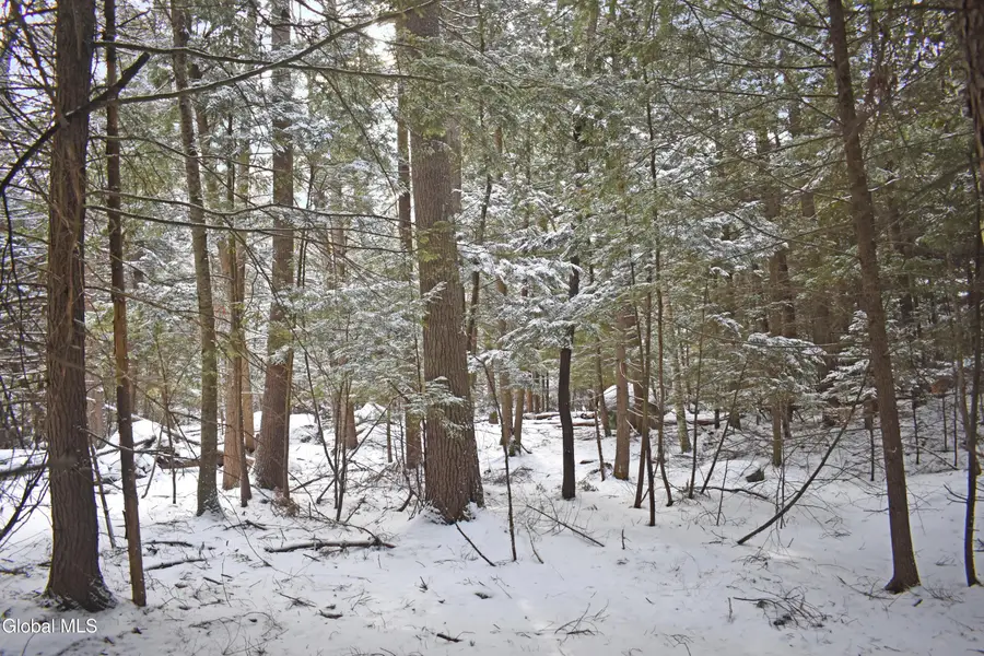 22 Carriage Knolls Road, Chester, NY 12817 - #3