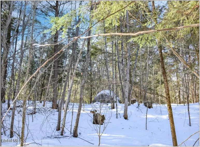 37 Carriage Knolls Road, Chester, NY 12817 - #2