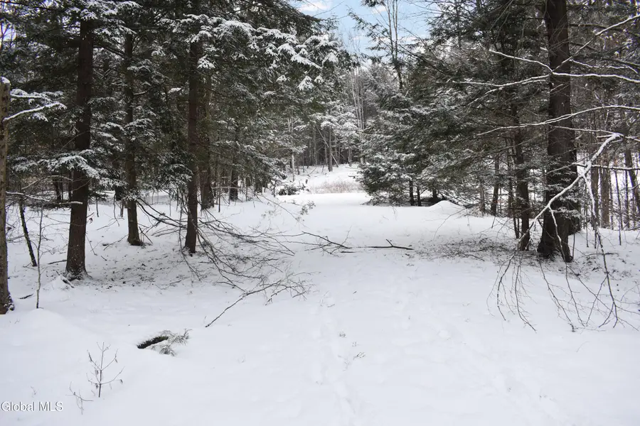 37 Carriage Knolls Road, Chester, NY 12817 - #3