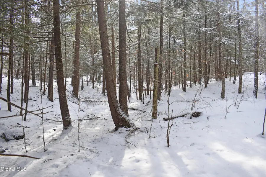 60 Carriage Knolls Road, Chester, NY 12817 - #3