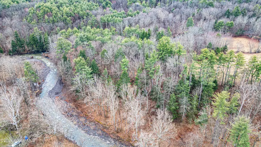 4875-4879 Potter Hollow Road, Preston Potter Hollow, NY 12469 - #2