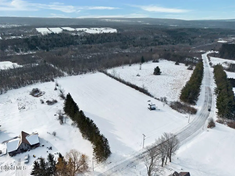 L13.422 Wells Road, Pattersonville, NY 12137 - Image #2