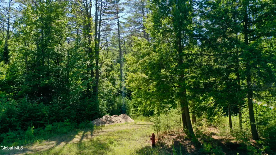 49 The Woods, Johnsburg, NY 12853 - #2