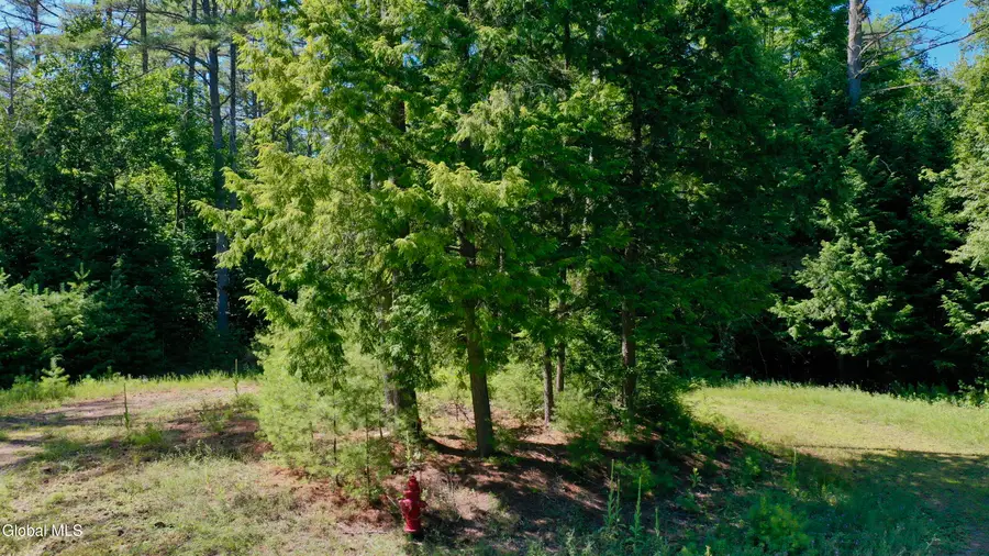 49 The Woods, Johnsburg, NY 12853 - #3