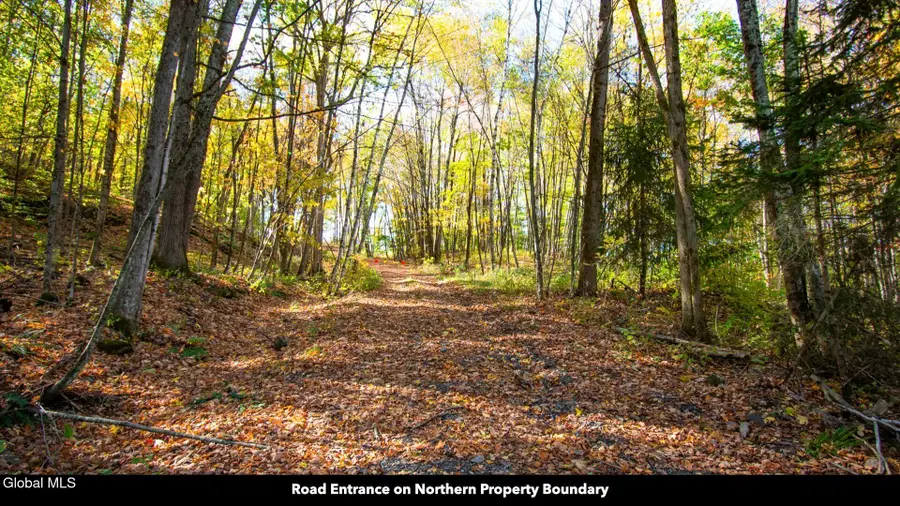 97 Sky Parlor Way, Salem, NY 12865 - Image #3