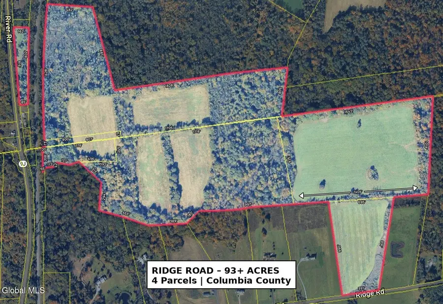 L29 Ridge Road, Stuyvesant, NY 12173 - #2