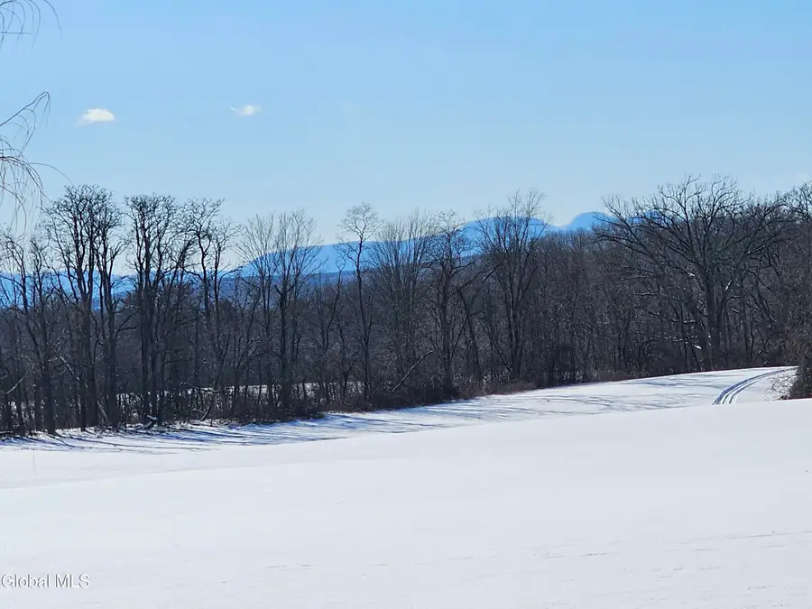 L29 Ridge Road, Stuyvesant, NY 12173 - #3