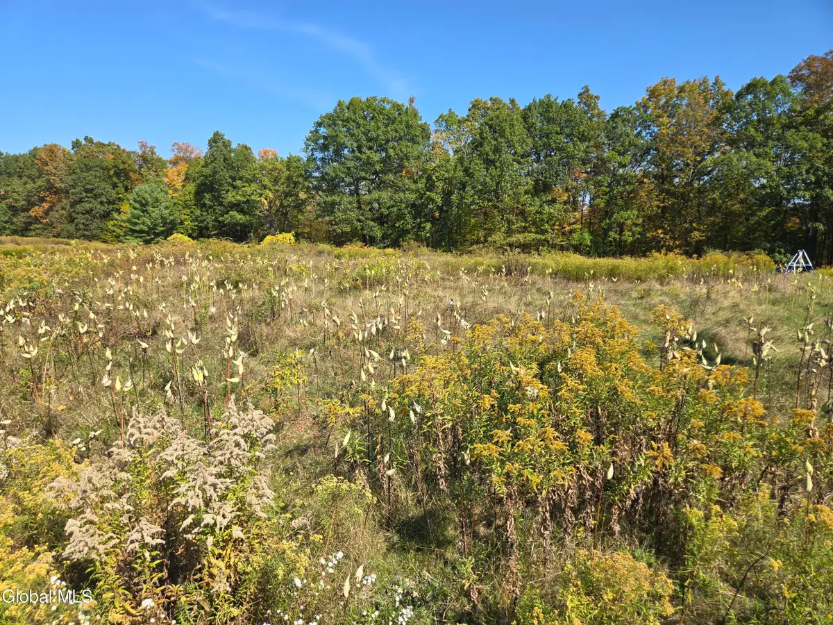 L23 Sunny Hill Acrs, Greenville, NY 12083 - Image #1