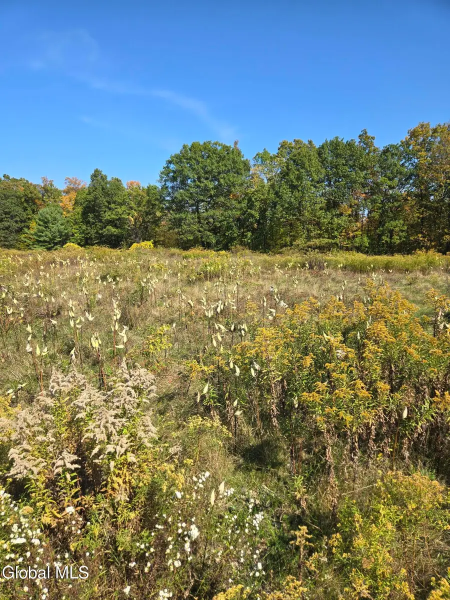 L23 Sunny Hill Acrs, Greenville, NY 12083 - Image #2