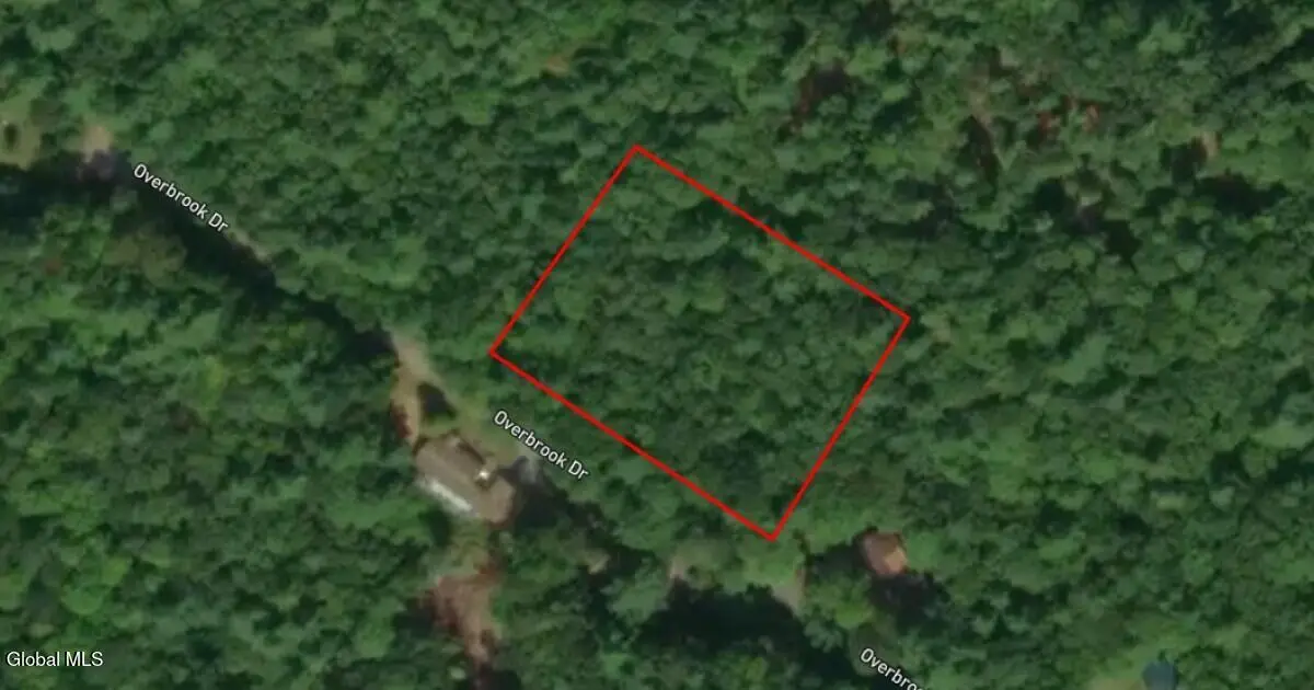 L4 Overbrook Road, Hague, NY 12836 - #1