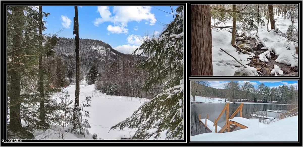 20 Brant Lake Creek Road, Horicon, NY 12815 - #1