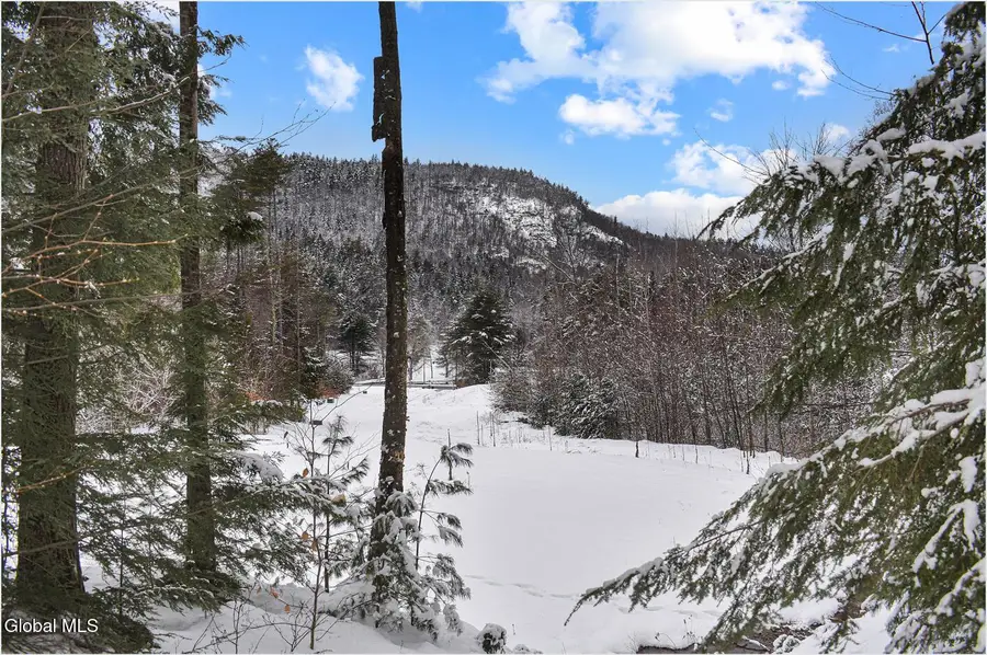 20 Brant Lake Creek Road, Horicon, NY 12815 - #2