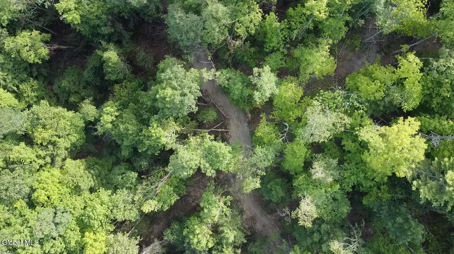 0 Gorge Road, Middleburgh, NY 12122 - #2