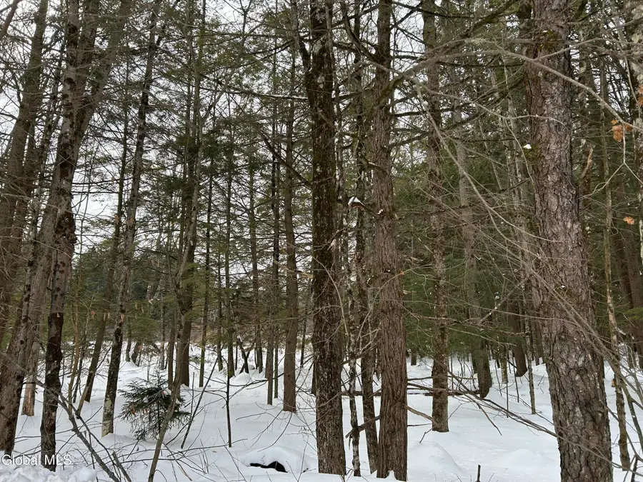 L32.11 James Drive, Broadalbin, NY 12025 - #2