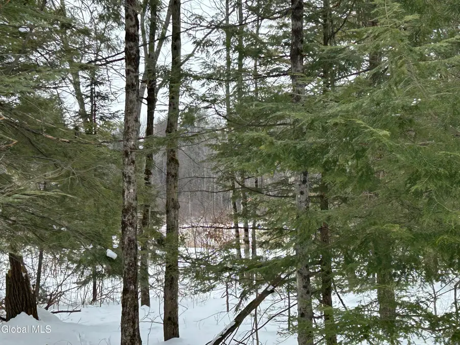 L32.11 James Drive, Broadalbin, NY 12025 - #3