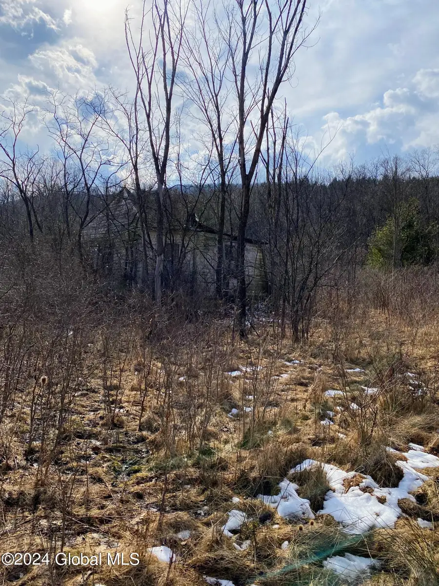 890 Alt-voorh Road, Altamont, NY 12009 - #2