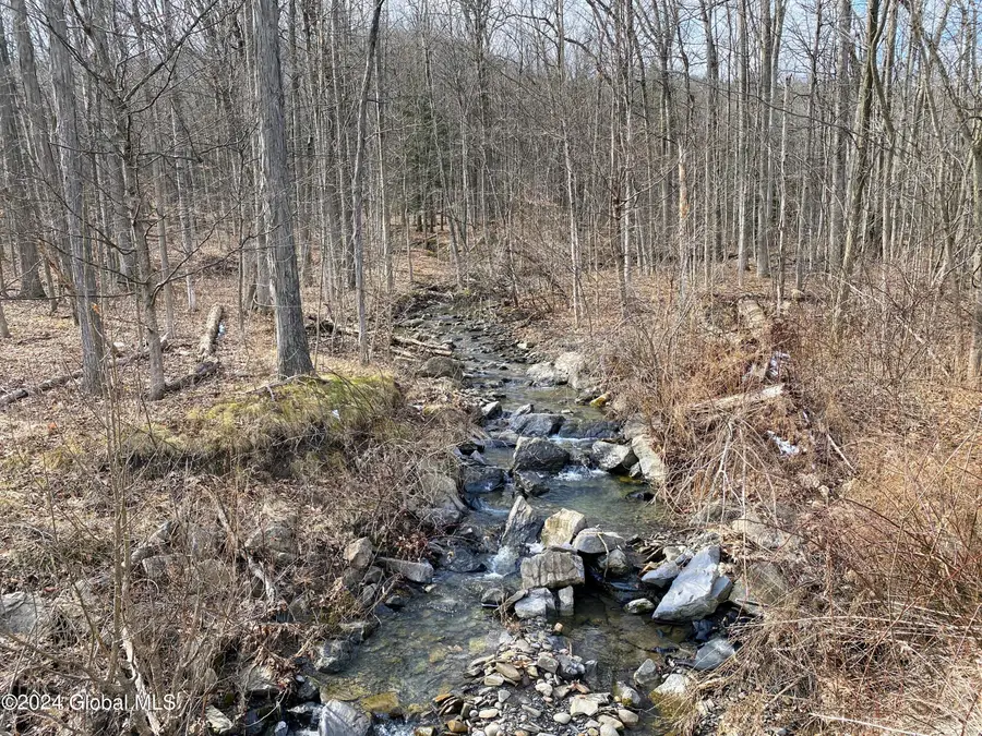 890 Alt-voorh Road, Altamont, NY 12009 - #3