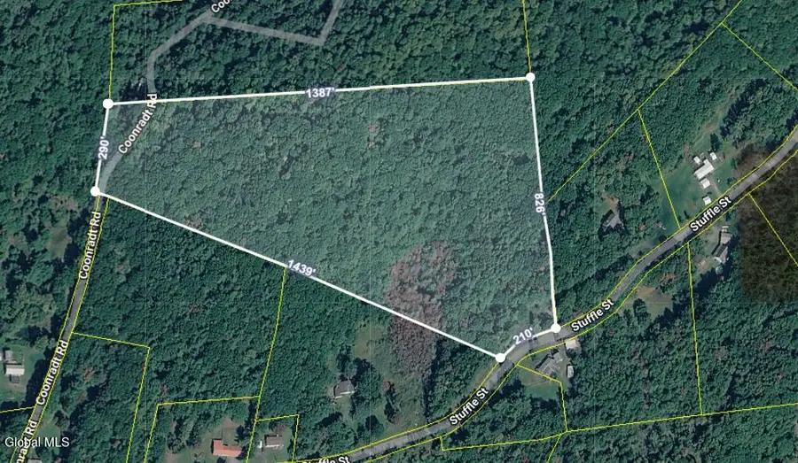 L5.1 Stuffle, Cropseyville, NY 12052 - #2