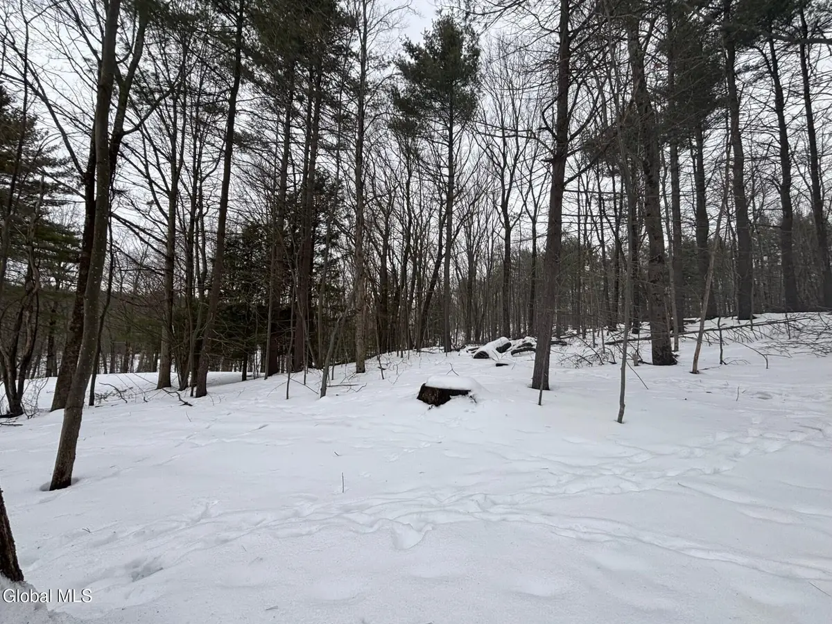 L1.22 Stuffle Street, Cropseyville, NY 12052 - #1