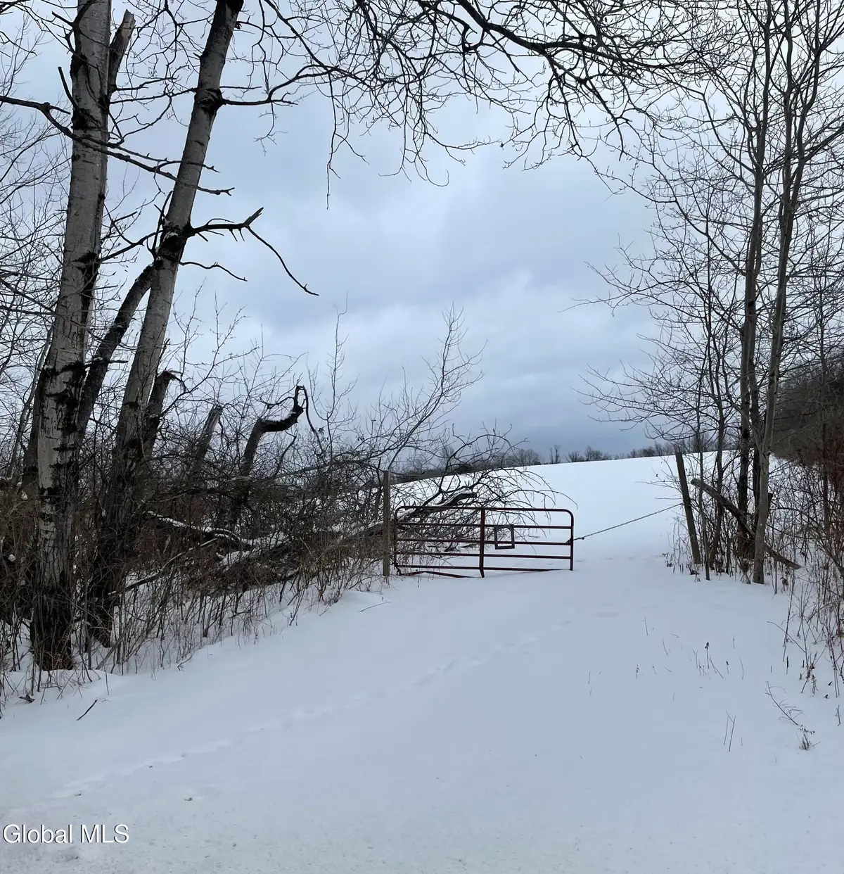 344 Old Johnstown Road, Mohawk, NY 12095 - #1