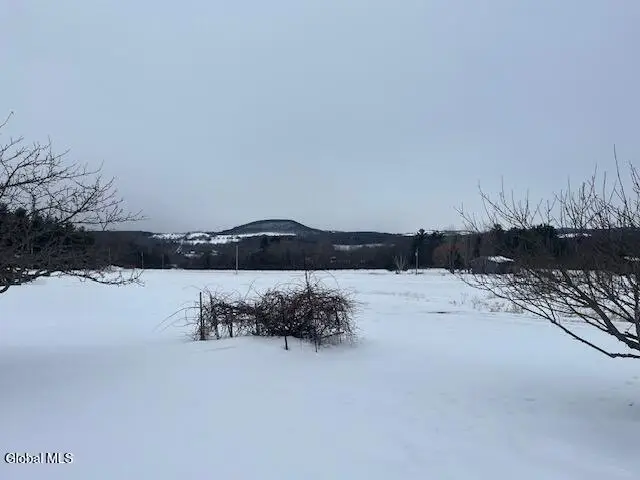 465 Snyder Road, Cobleskill, NY 12043 - #3