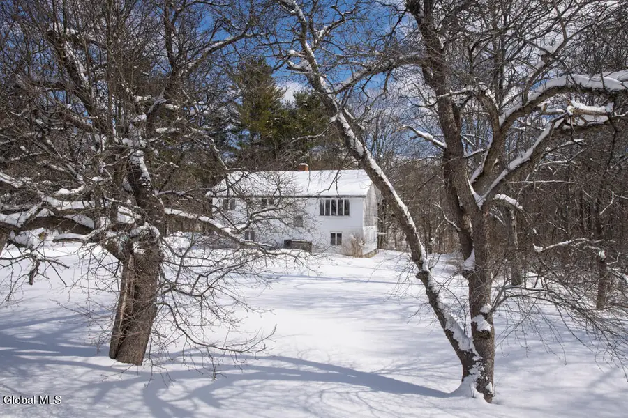 270 North Road, Clarksville, NY 12186 - #2