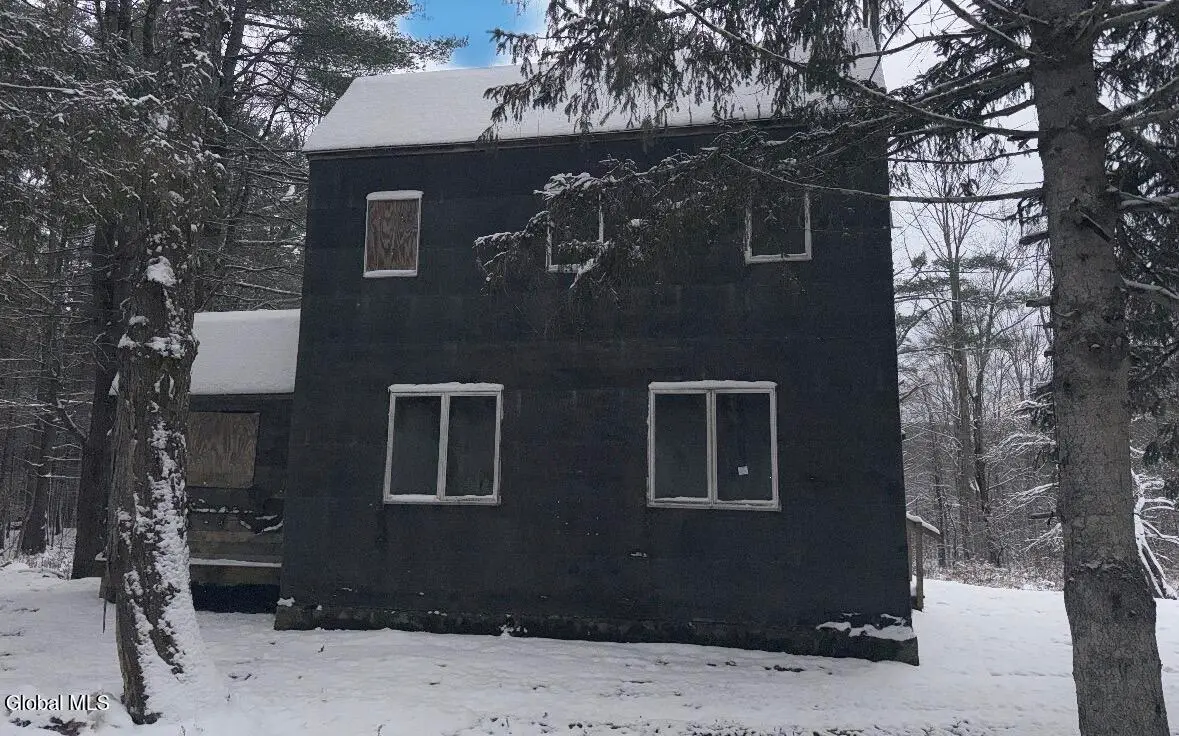 295 Black River Road, Stephentown, NY 12169 - #1