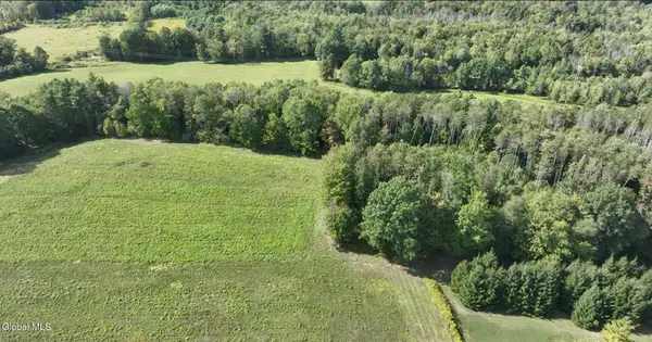Lot 4 County Rd 106, Mayfield, NY 12010