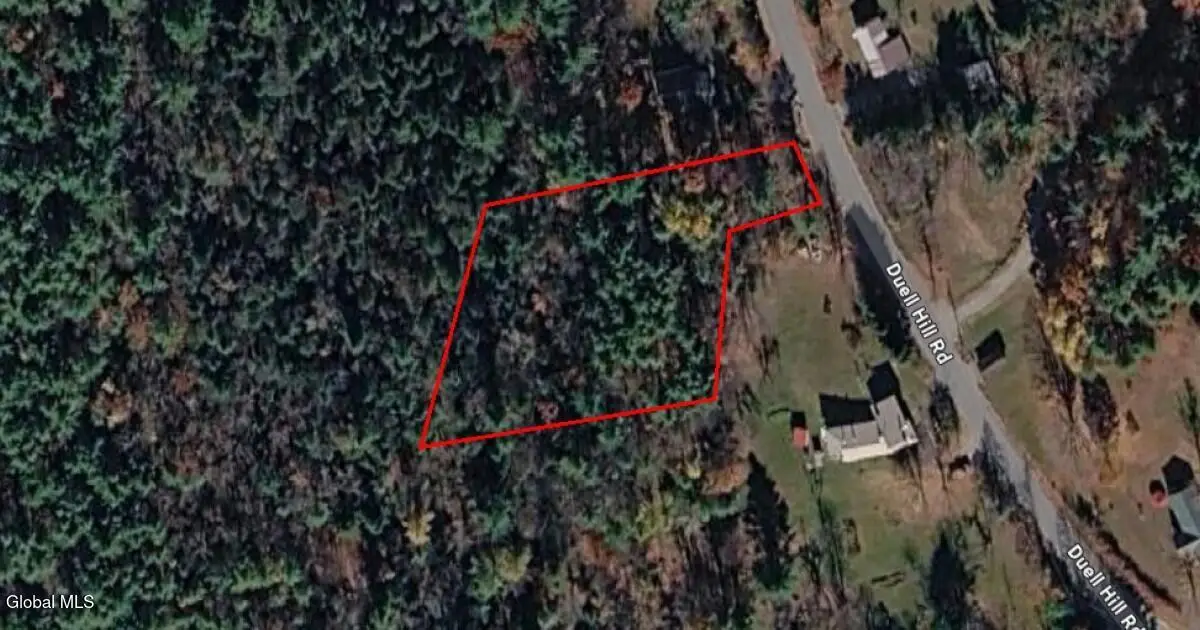L12 Duell Hill, Horicon, NY 12815 - #1