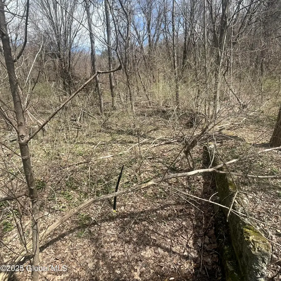 727 County Route 77, Greenwich, NY 12834 - #2