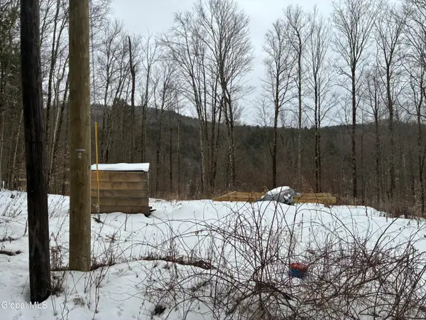 38 Hill Hollow Rd Road, Petersburgh, NY 12138