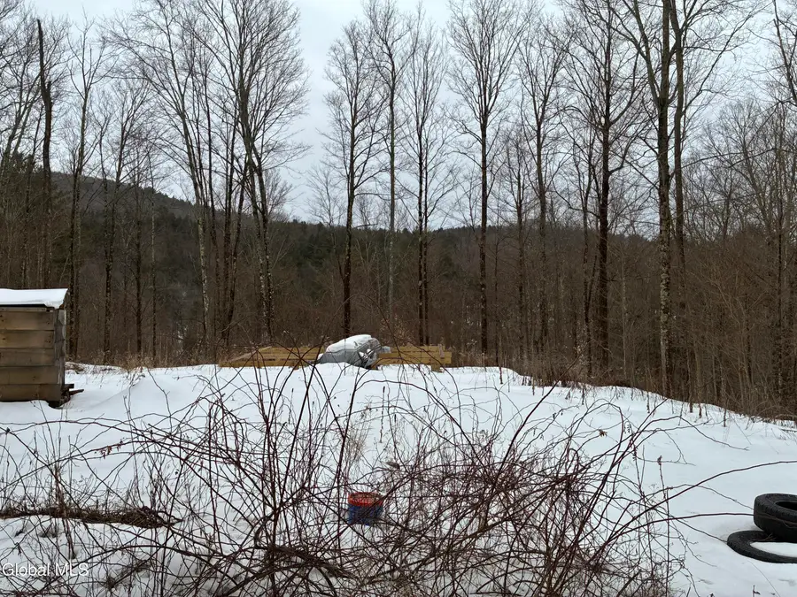 38 Hill Hollow Rd Road, Petersburgh, NY 12138 - #3
