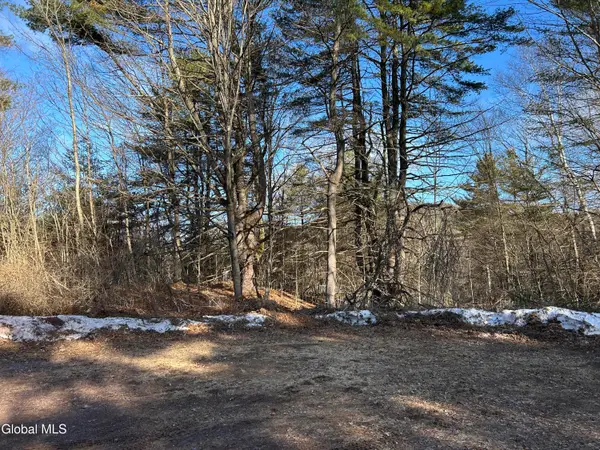 0 County Route 21 Off, Hampton, NY 12887