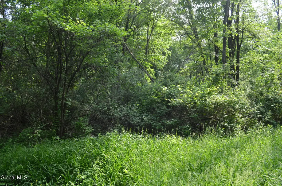 9 Cedar Road, Selkirk, NY 12158 - #1