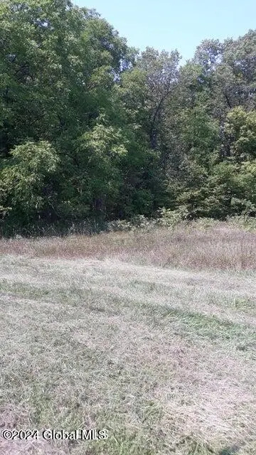 L40 Tarrytown Road, Feura Bush, NY 12067 - #3