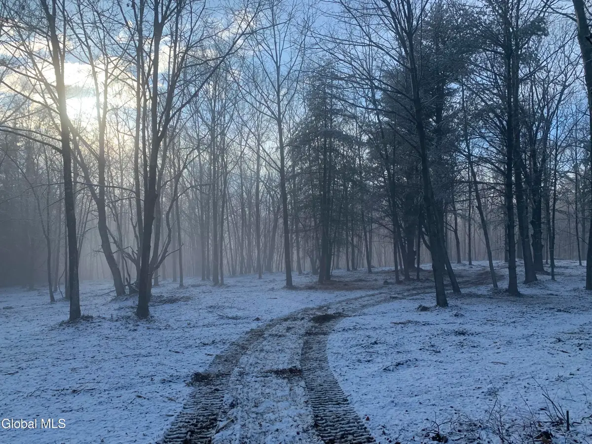 0 Harroway Road, Richmondville, NY 12149 - #1